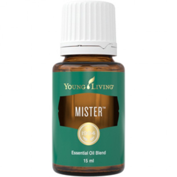 Mister 男性力量